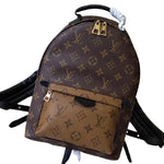 Louis Vuitton Monogram Palm Springs Backpack