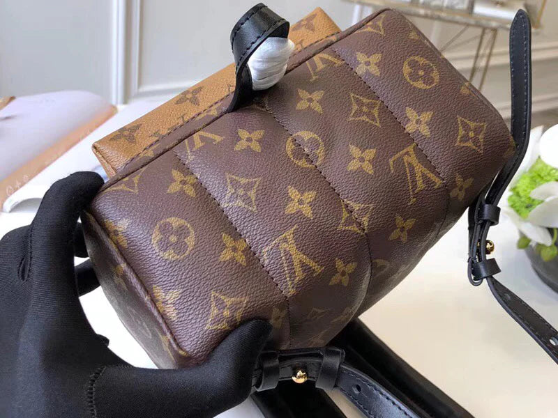 Louis Vuitton Monogram Palm Springs Backpack