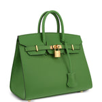 2023 Birkin 25 handbag