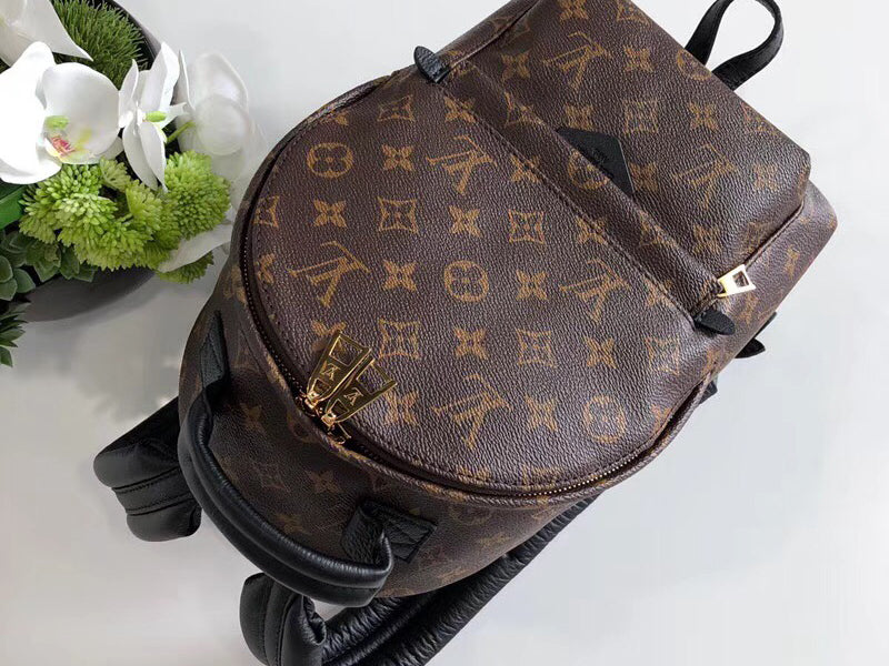 LOUIS VUITTON MONOGRAM CANVAS PALM SPRINGS BACKPACK PM M41560