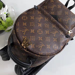 LOUIS VUITTON MONOGRAM CANVAS PALM SPRINGS BACKPACK PM M41560