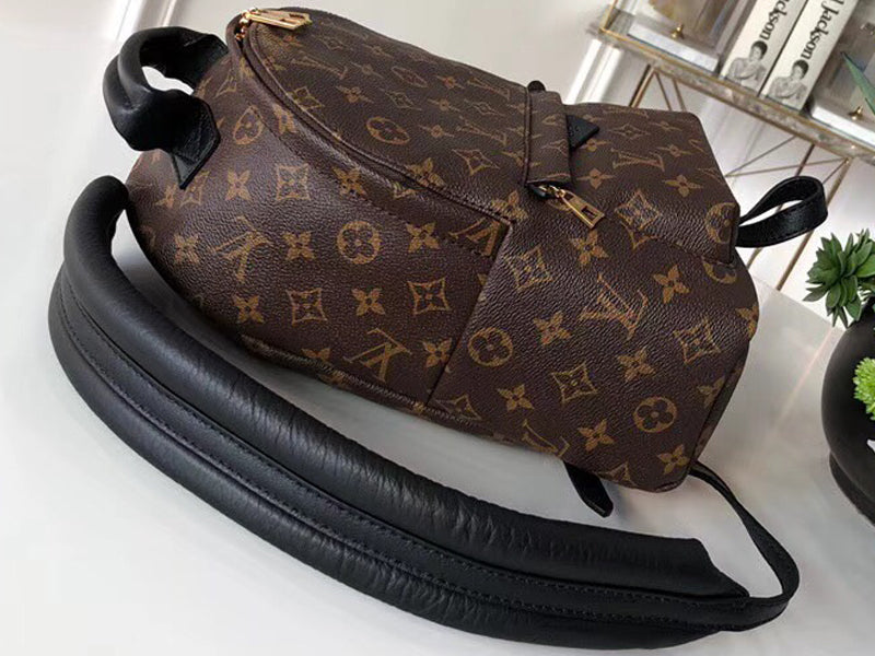 LOUIS VUITTON MONOGRAM CANVAS PALM SPRINGS BACKPACK PM M41560