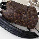 LOUIS VUITTON MONOGRAM CANVAS PALM SPRINGS BACKPACK PM M41560