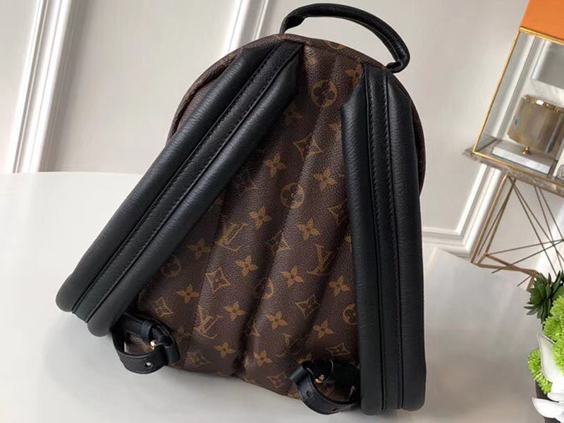 LOUIS VUITTON MONOGRAM CANVAS PALM SPRINGS BACKPACK PM M41560