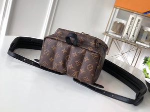 LOUIS VUITTON MONOGRAM CANVAS PALM SPRINGS BACKPACK PM M41560