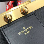 LOUIS VUITTON TAIGA LEATHER CITY FRAME BLACK M52240