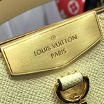 LOUIS VUITTON TAIGA LEATHER CITY FRAME BANANE M52240