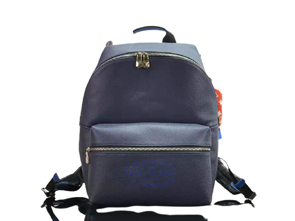 LOUIS VUITTON TAIGA LEATHER DISCOVERY BACKPACK PM BLUE M30359