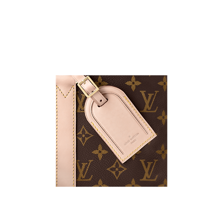 Louise Vuitton laptop bag