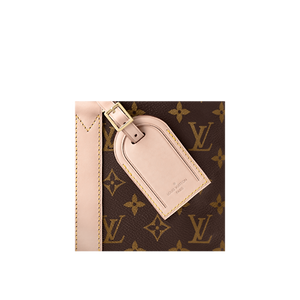 Louise Vuitton laptop bag